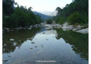 Le vallé du Cavu