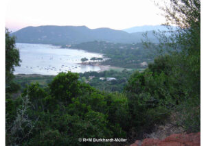 Vue sur le Golfe de Pinarellu
